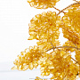 Денежное дерево из янтаря, фотография 5. Интернет-магазин ЛАВКА ПОДАРКОВ